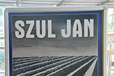 tytu obrazka
